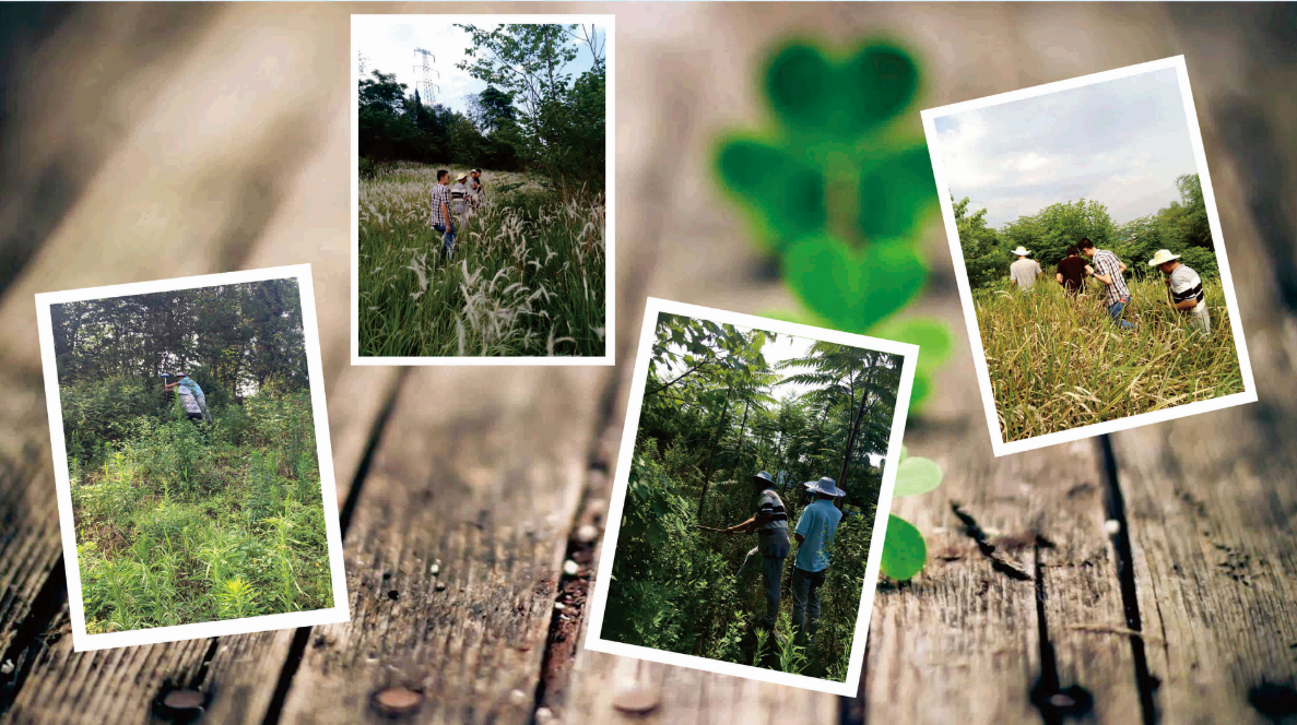 4《我們的日?!? 黃子涵.png 4《我們的日?!? 黃子涵.png